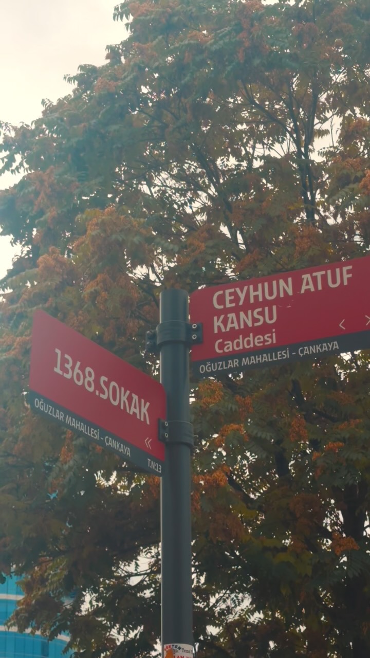 Kruvaze koleksiyon seçkisi · DQMGNl3jZiU